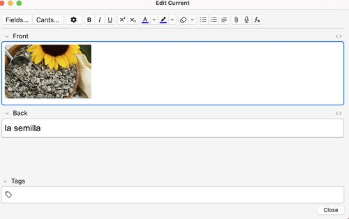 Anki example