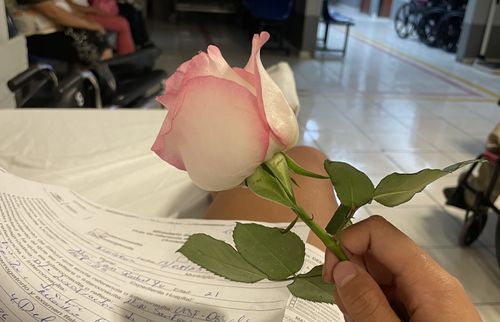Rose